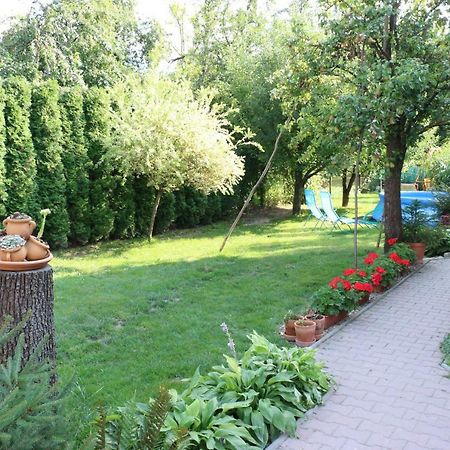 Privat Cerenica Διαμέρισμα Belusa Εξωτερικό φωτογραφία